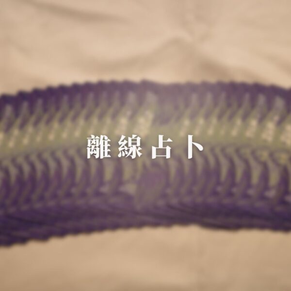 【塔羅】個人占卜｜離線題數制